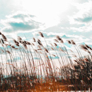 Прогноз погоды во Владимире и области на 19 апреля