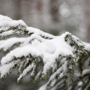 Прогноз погоды во Владимире и области на 23 января