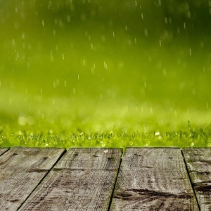 Синоптики спрогнозировали дожди и магнитные бури во Владимирской области