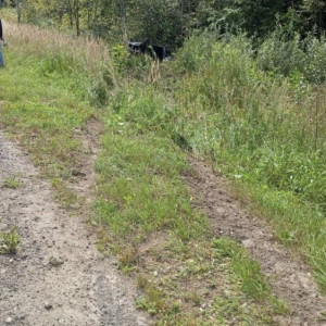 В Гусь-Хрустальном районе легковушка улетела в кювет: пострадал 13-летний ребенок