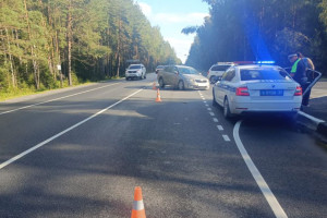 За неделю во Владимирской области поймали 84 пьяных водителей