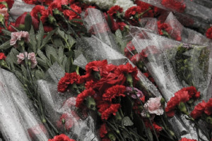 Во Владимирской области простились с погибшим в СВО бойцом