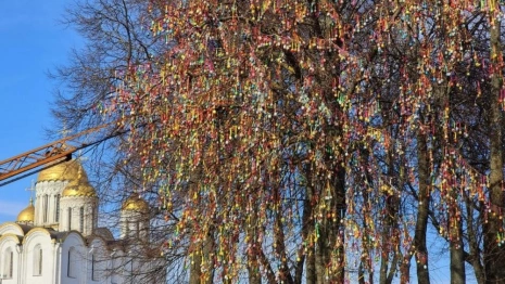 Во Владимире в 2026 году расцветет «Пасхальное дерево»