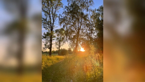 Прогноз во Владимирской области на 24 сентября