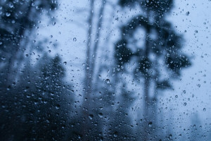 Синоптики назвали даты сильных дождей в апреле во Владимирской области