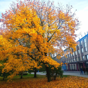 Владимирский госуниверситет вошел в рейтинг лучших вузов стран БРИКС