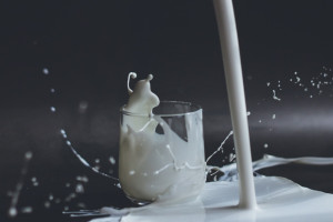 В 6,7% пробах молока во Владимирской области нашли кишечную палочку