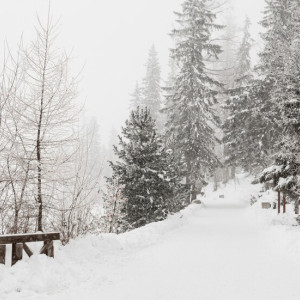 Прогноз погоды во Владимире и области на 16 февраля 2026 года