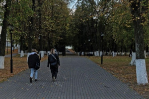 Во Владимире переименуют парк имени Пушкина