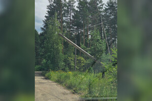На турбазе «Ладога» во Владимире упал электрический столб