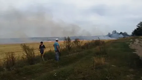 Крупный пожар в поле под Суздалем сняли на видео