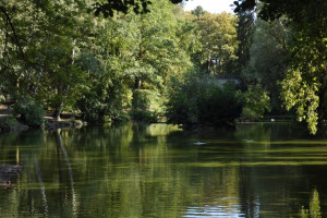 Благоустройство парка у ДТЮ во Владимире завершат в 2025 году