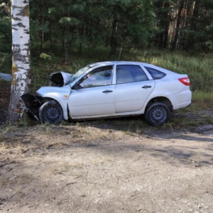 В Муромском районе 66-летний автомобилист погиб после наезда на дерево