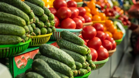 Во Владимире открыли агропромышленную выставку-ярмарку