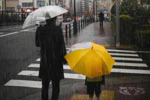 Владимирскую область накроет вторая волна непогоды