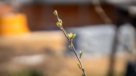 Прогноз погоды на 25 марта 2024 года во Владимире и области