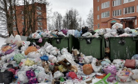 В Кольчугино 30 мусорных площадок оказались завалены отходами