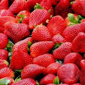 Клубничный сезон. Как владимирцам правильно выбрать ягоду