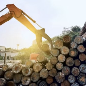 Во Владимирской области рабочий погиб под выпавшим из трактора бревном