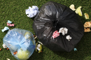 Во Владимире регоператора оштрафовали на 250 тыс. рублей за невывоз мусора