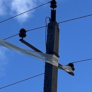 Ветер во Владимирской области усилился до 21 м/с