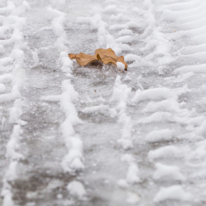 Снегопад и гололедица сохранятся до субботы во Владимирской области