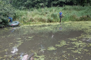 На реке Мотра в Селивановском районе утонул 66-летний мужчина