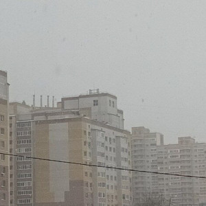 МЧС Владимирской области разослало экстренное предупреждение об урагане 15-17 м/с