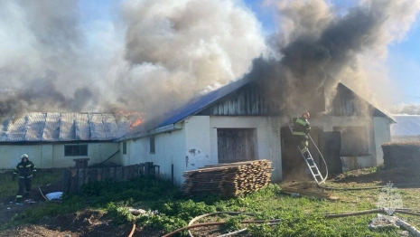 Под Суздалем загорелась гусиная ферма