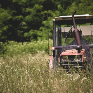 Правительство России поддержало возрождение производства тракторов во Владимире