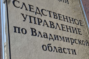 Следком возбудил уголовное дело после отравления матери и ребенка угарным газом в Коврове