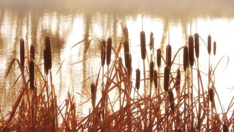 30 день Великого поста: что можно и нельзя 16 апреля
