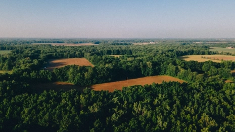 Во Владимирской области Героям СВО решили бесплатно выдавать землю
