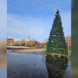 В Струнино новогоднюю елку на площади у ДК оставили до апреля