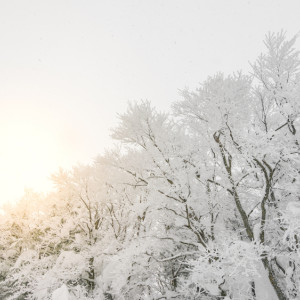 Прогноз погоды во Владимире и области на 10 февраля