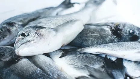 Владимирцев предупредили о рисках заражения паразитами от рыбы
