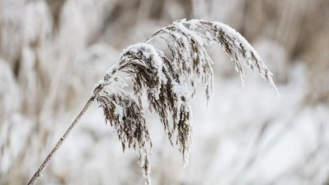Во Владимирской области пообещали метель и ураган до 20 м/с