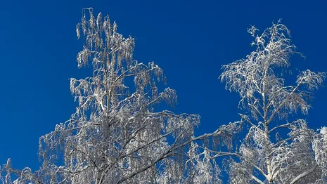 На Владимирскую область надвигается ураган до 15-17 м/с