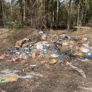 Во Владимирской области прокуроры нашли свалку из останков животных