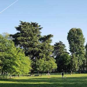Благоустройство скандально известного парка «Добросельский» во Владимире оценили в 12 млн