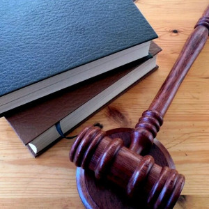 Создатели «Лунтика» обвинили жителя Владимирской области в нарушении авторских прав