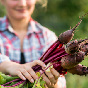 Стратилат Тепляк: что можно и нельзя делать 1 сентября
