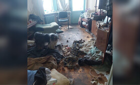 Во Владимире пса заперли в квартире на 3 года