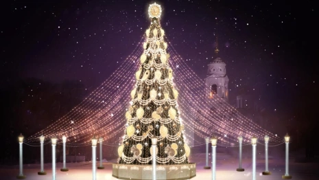 В центре Владимира установят новую новогоднюю ель с нитями из гирлянд