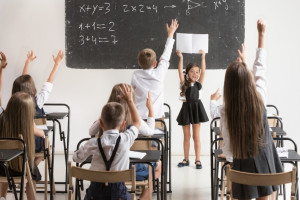 Во время объединения школ во Владимире дети останутся в своих корпусах