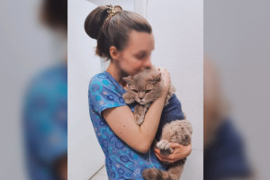Погибшей в жуткой аварии на МКАД оказалась ветеринар из Владимира