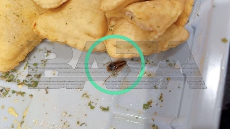 В «Чебупицце» владимирского производства обнаружили таракана