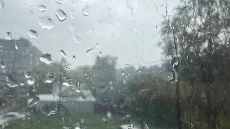 Во Владимирской области очередная неделя будет дождливой