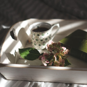 От Дмитрия Дюжева до «Карнавала зверей». Как провести выходные во Владимире