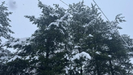 Прогноз погоды во Владимире и области на 17 ноября 2025 года